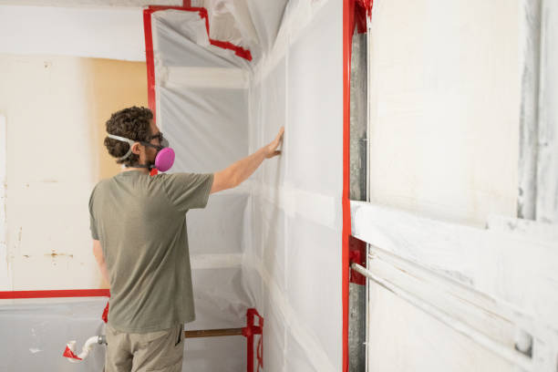  Wintersville, OH Mold Removal Pros